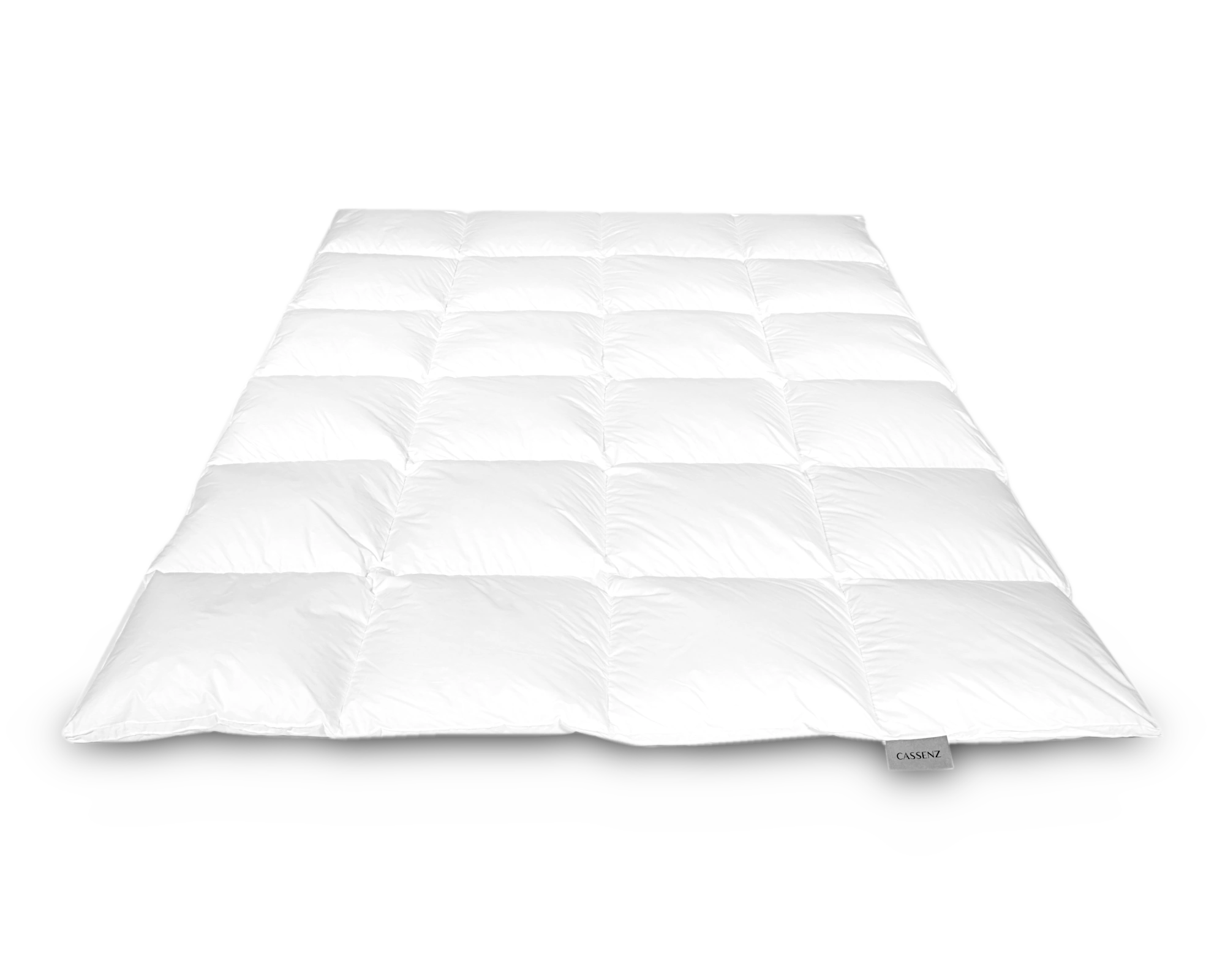 Donzen dekbed Rembrandt Winterplus