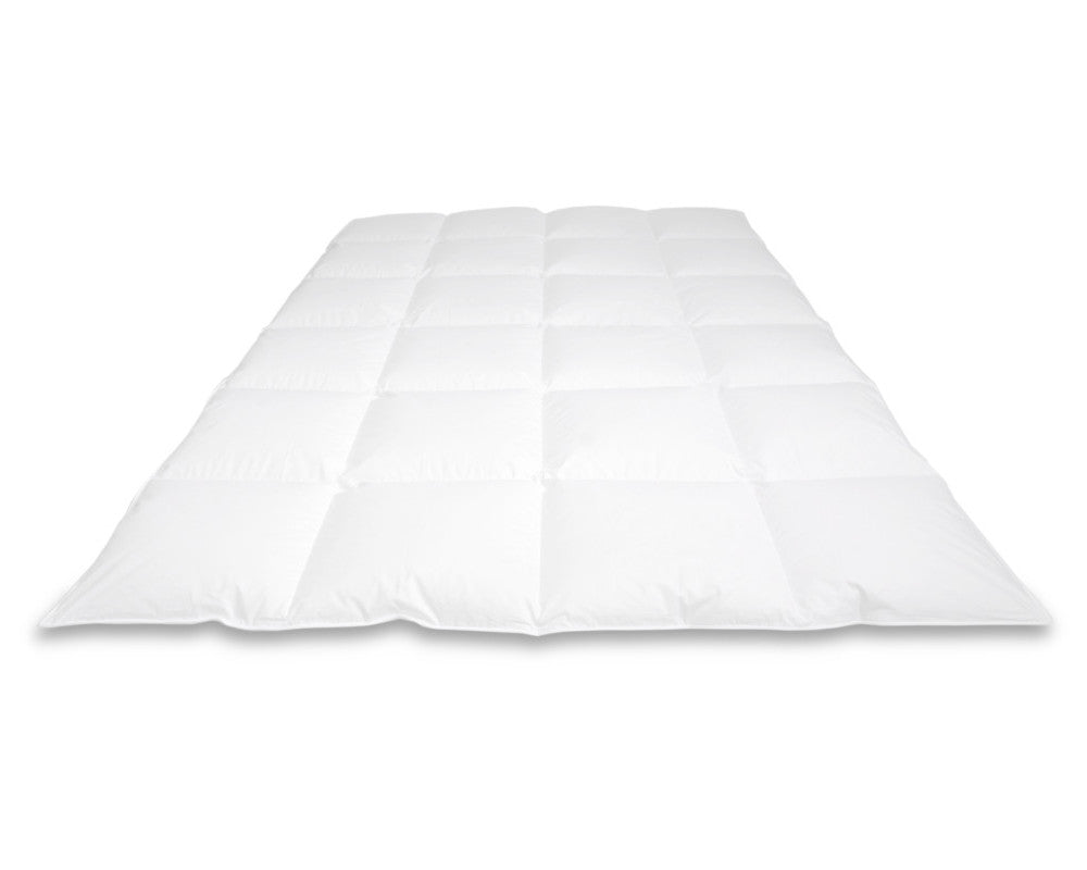 Donzen dekbed Rembrandt Winter Plus